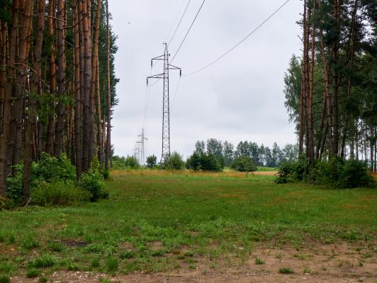 Prioritize vegetation risk with predictive AI