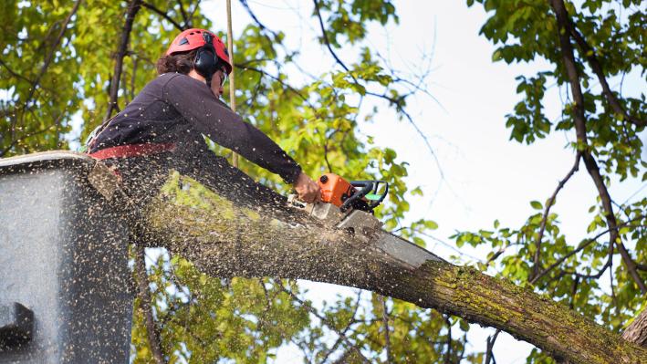 Vegetation management solution