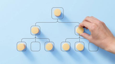 Trends in utility organizational structures for mobility