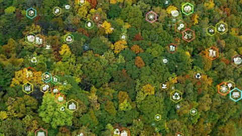A Northeastern utility implements a data-driven vegetation management solution